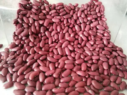 تصویر 3 از لوبیا چیتی صورتی + با کیفیت و خوش رنگ